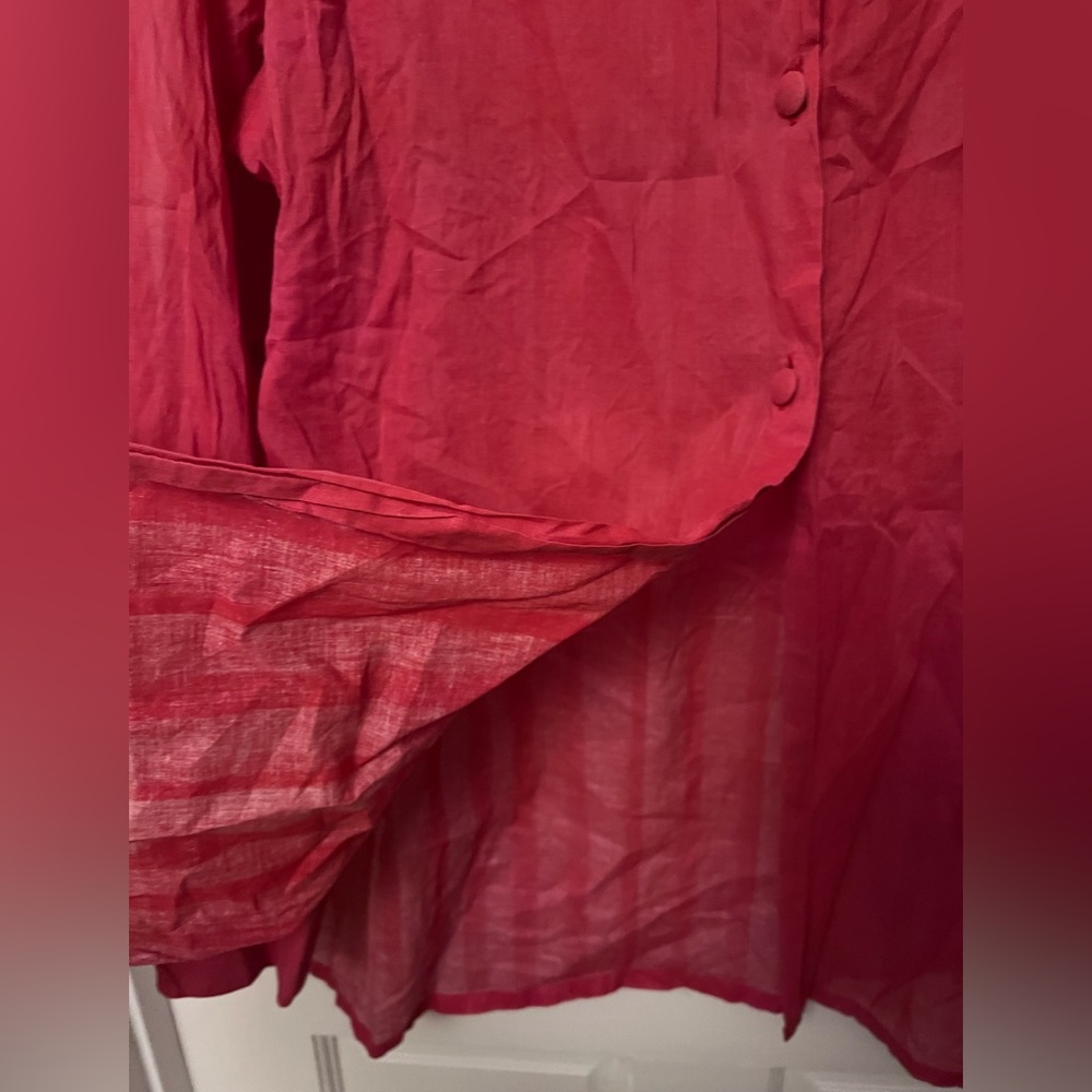 Victorian Sheer Button Down - image 4